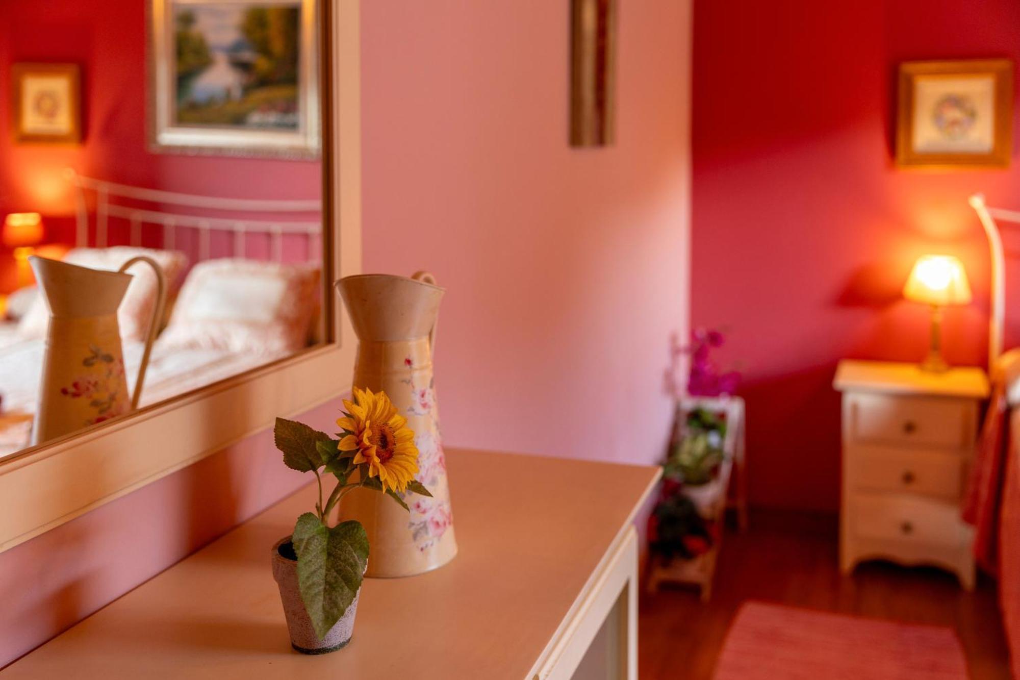 Matxingonea 2 Guest House Urdax Eksteriør bilde